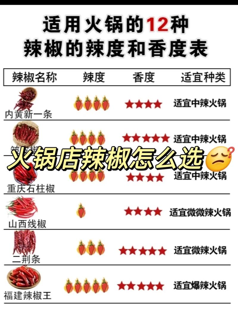 火锅四川还是重庆_四川火锅_火锅四川蘸料